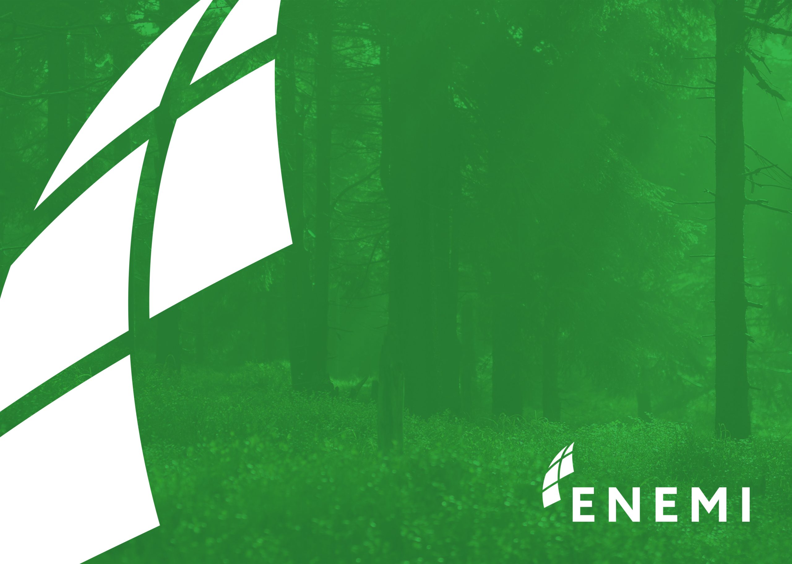 Johtamisjärjestelmät organisaation kehittymisen tukena